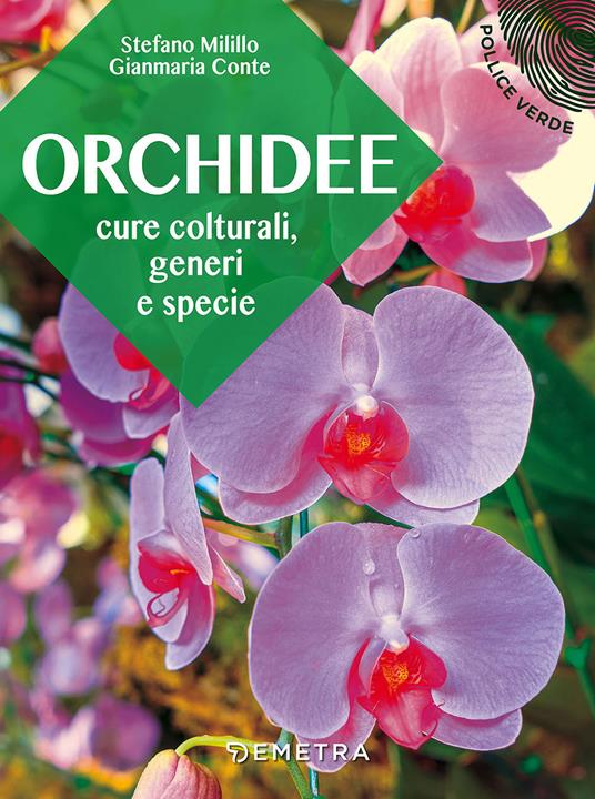  Stefano Milillo, Gianmaria Conte Orchidee. Cure colturali, generi e specie